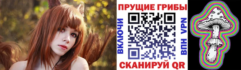 купить Новосокольники Псилоцибиновые грибы GOLDEN TEACHER